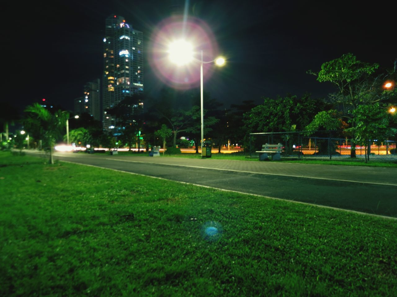 illuminated, night, grass, green color, no people, tree, nature, outdoors, architecture, sky