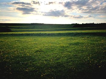 Scenic view of field against sky