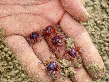 Close-up of human feet on sand