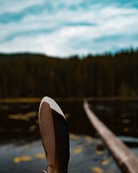 Close-up of wood against lake against sky
