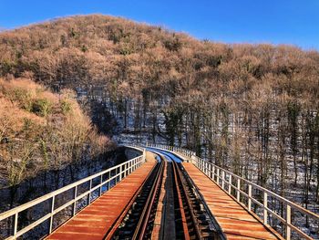 Railroad tracks amidst trees against sky