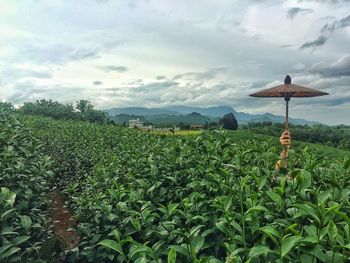 Scenic view of field against cloudy sky