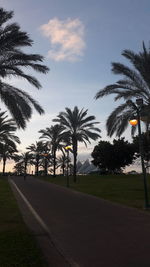 Palm trees by road against sky