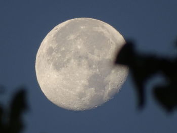 Close-up of moon against sky at night