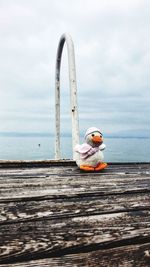 Stuffed toy by sea on pier