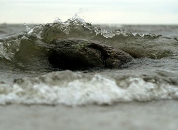 Surface level of rocks on shore