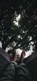 Low section of man legs against trees