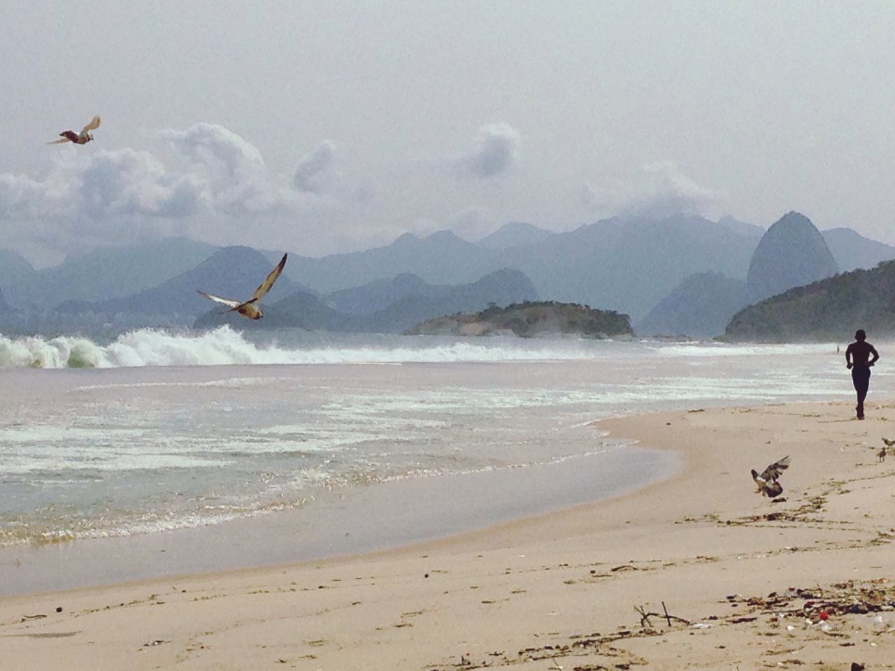 beach, sea, flying, nature, sky, water, shore, sand, real people, beauty in nature, lifestyles, scenics, cloud - sky, outdoors, mountain, men, day, bird, wave, people