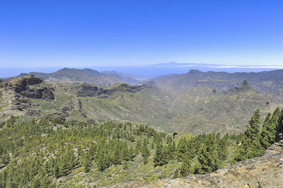 Scenic view of landscape against clear sky