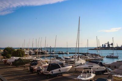 Sailboats moored at harbor