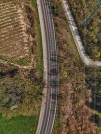 High angle view of road amidst trees in forest