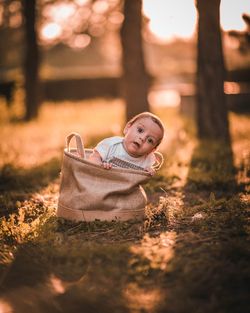 Portrait of cute baby boy relaxing in bag on land
