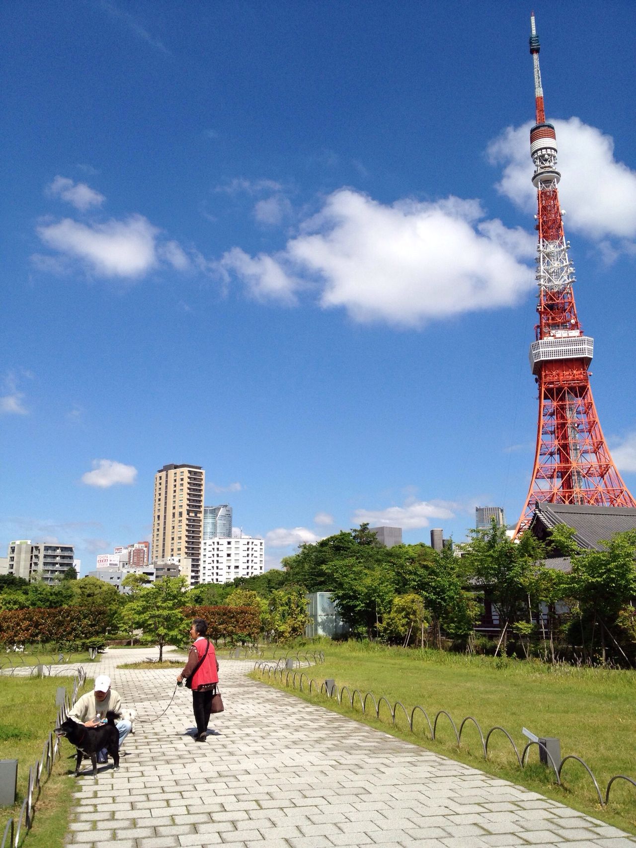 港区立 芝公園 芝生広場