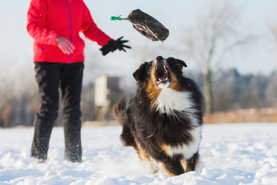 Dog standing on snow covered field against sky