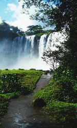 Scenic view of waterfall in forest