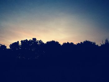 Silhouette trees against sky