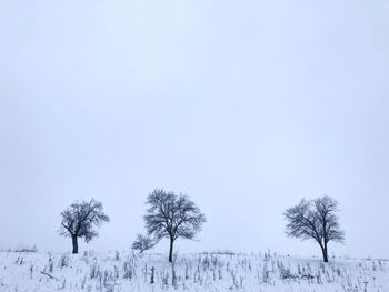 Trees on snow field against clear sky