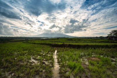 Scenic view of field against cloudy sky