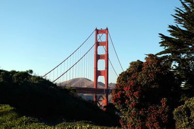 Golden gate