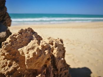 Scenic view of sea shore against sky