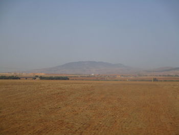 Scenic view of field against clear sky