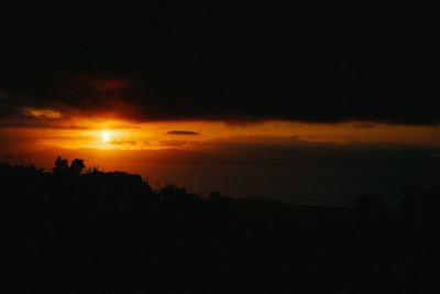 Silhouette of trees during sunset
