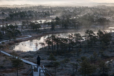 Woman walking on boardwalk amidst trees