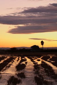 Scenic view of field against sky during sunset