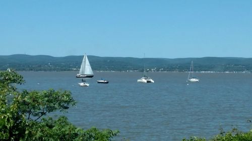 Boats sailing in sea
