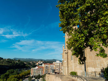 Trees and buildings against blue sky