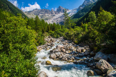 Scenic view of stream flowing through rocks in forest