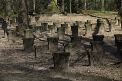 Tombstones in cemetery