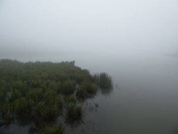 Scenic view of lake during foggy weather