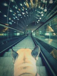 View of escalator