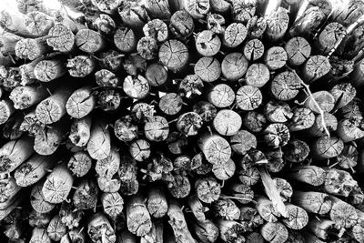 Full frame shot of firewood