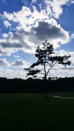 Silhouette tree on field against sky at sunset