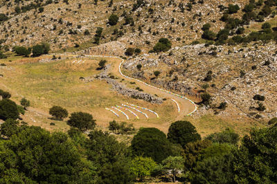 High angle view of road amidst trees