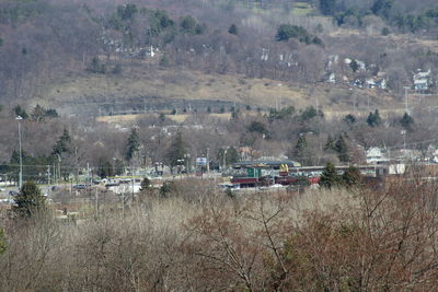 Scenic view of landscape