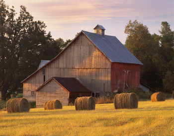 A barn in n. hero, vermont with round bales of hay.