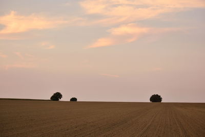 Scenic view of agricultural field against sky during sunset