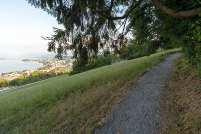 Road amidst trees on field against sky