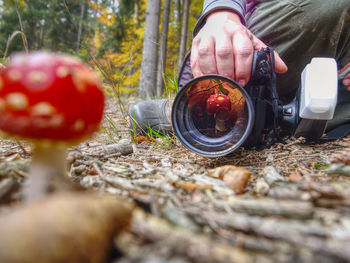 Photographer take a picture of mushroom fly agaric red and also make mushroom reflection in lens