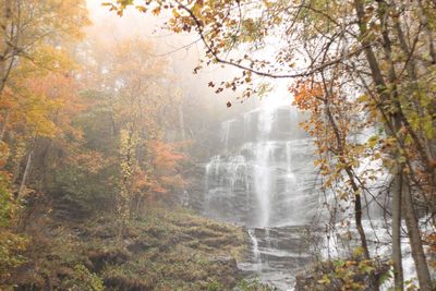 Scenic view of waterfall in forest during autumn