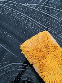 High angle view of yellow cleaning sponge on car windshield