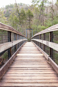 Footbridge amidst trees in forest