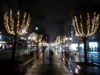 View of illuminated christmas tree at night