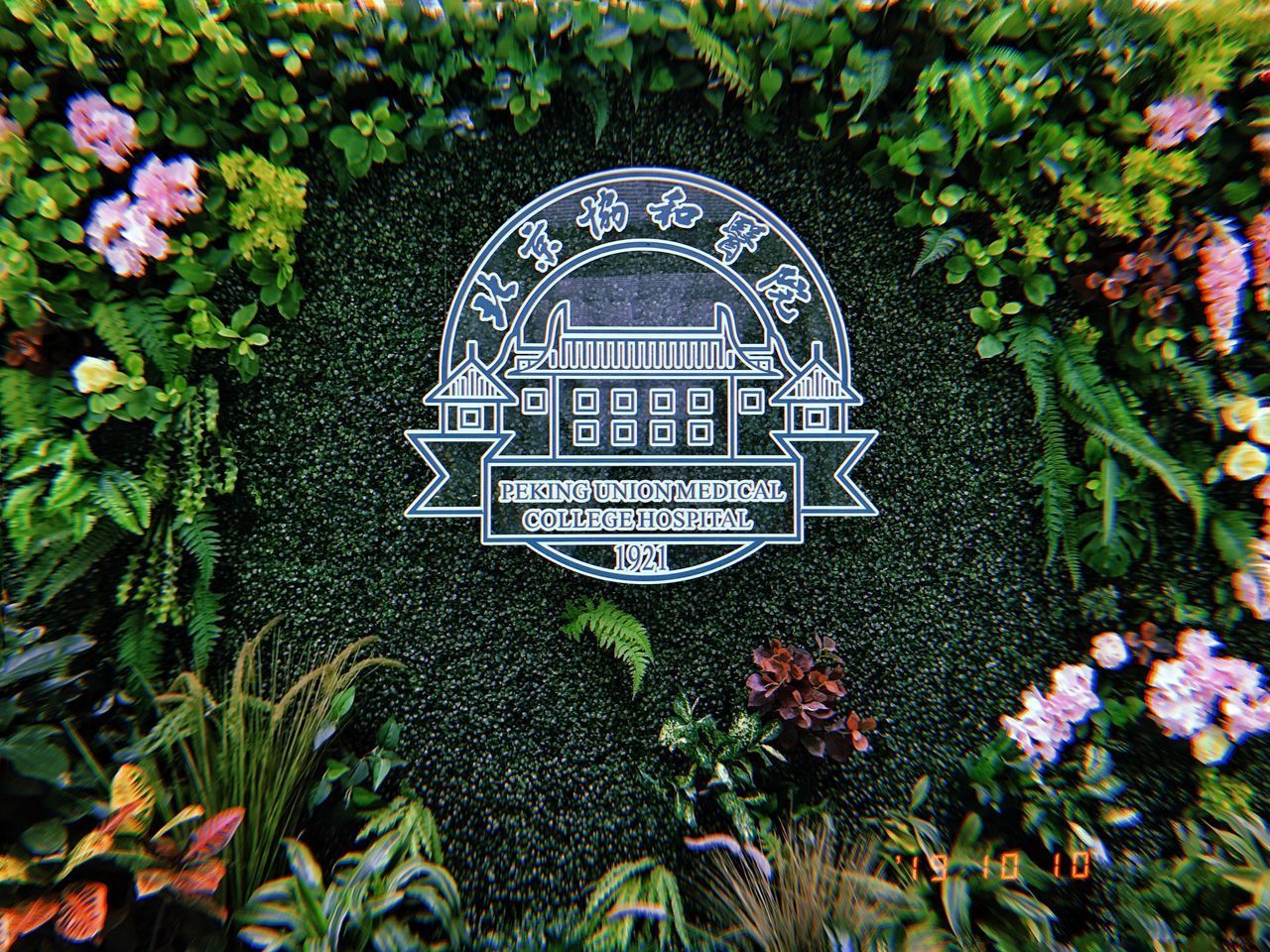 HIGH ANGLE VIEW OF PLANTS AND TREES IN GARDEN