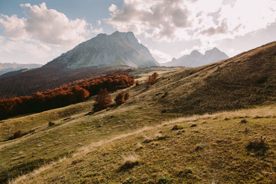 Scenic view of landscape and mountains against sky