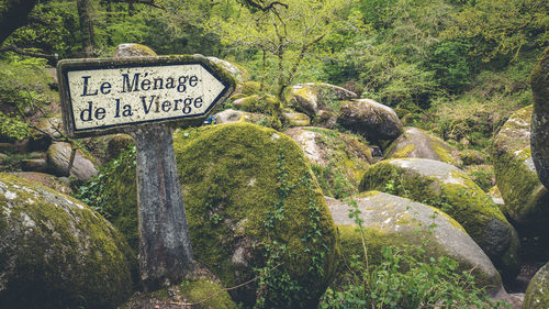 Information sign on rock in forest