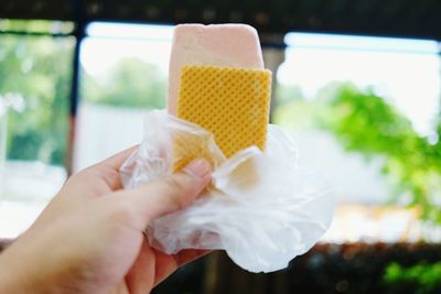 Close-up of hand holding ice cream